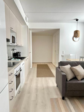 Kotimaailma Apartments Tervapääsky I Oulu